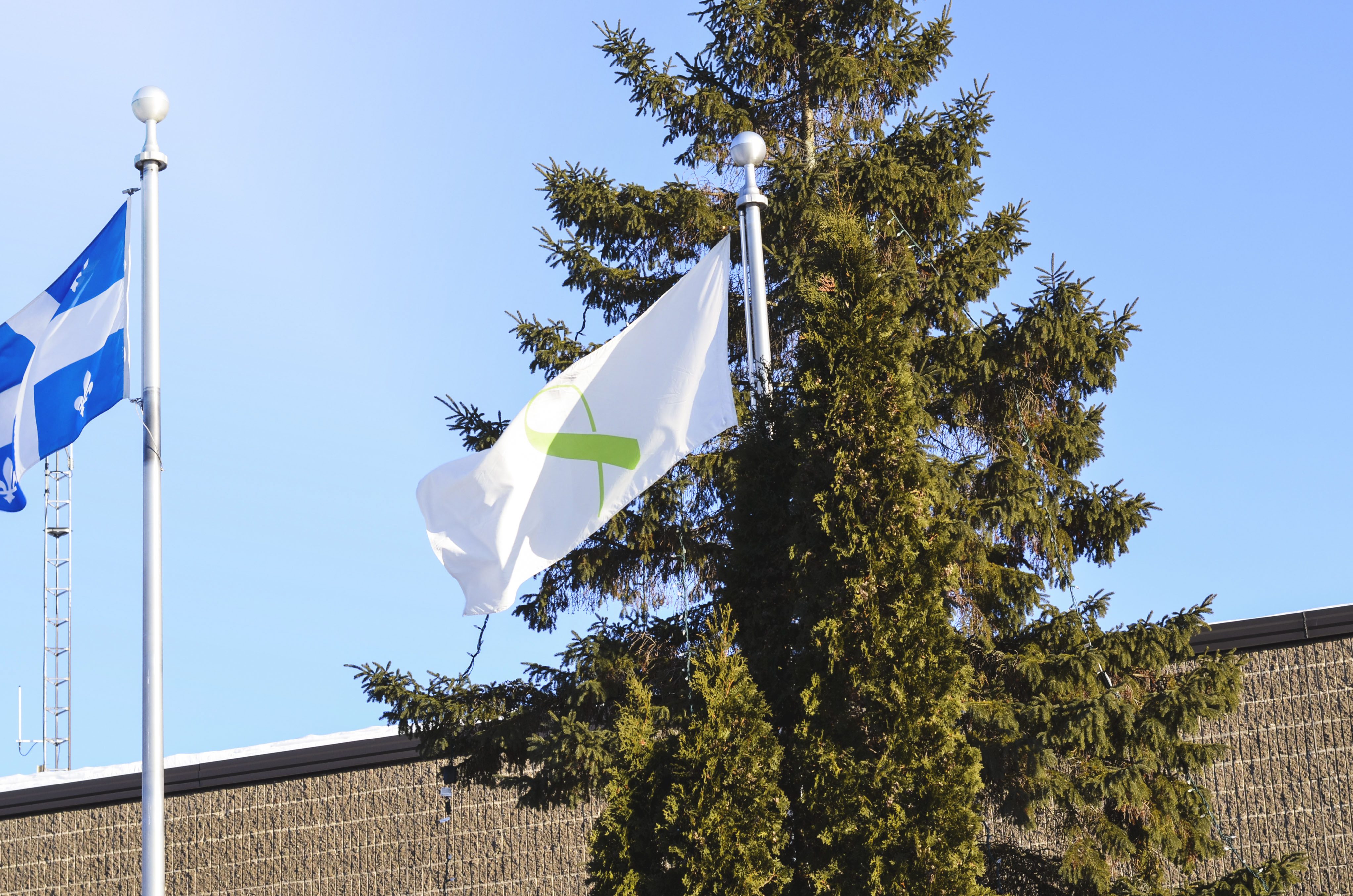 Le Cégep est fier de participer aux Journées de la persévérance scolaire
