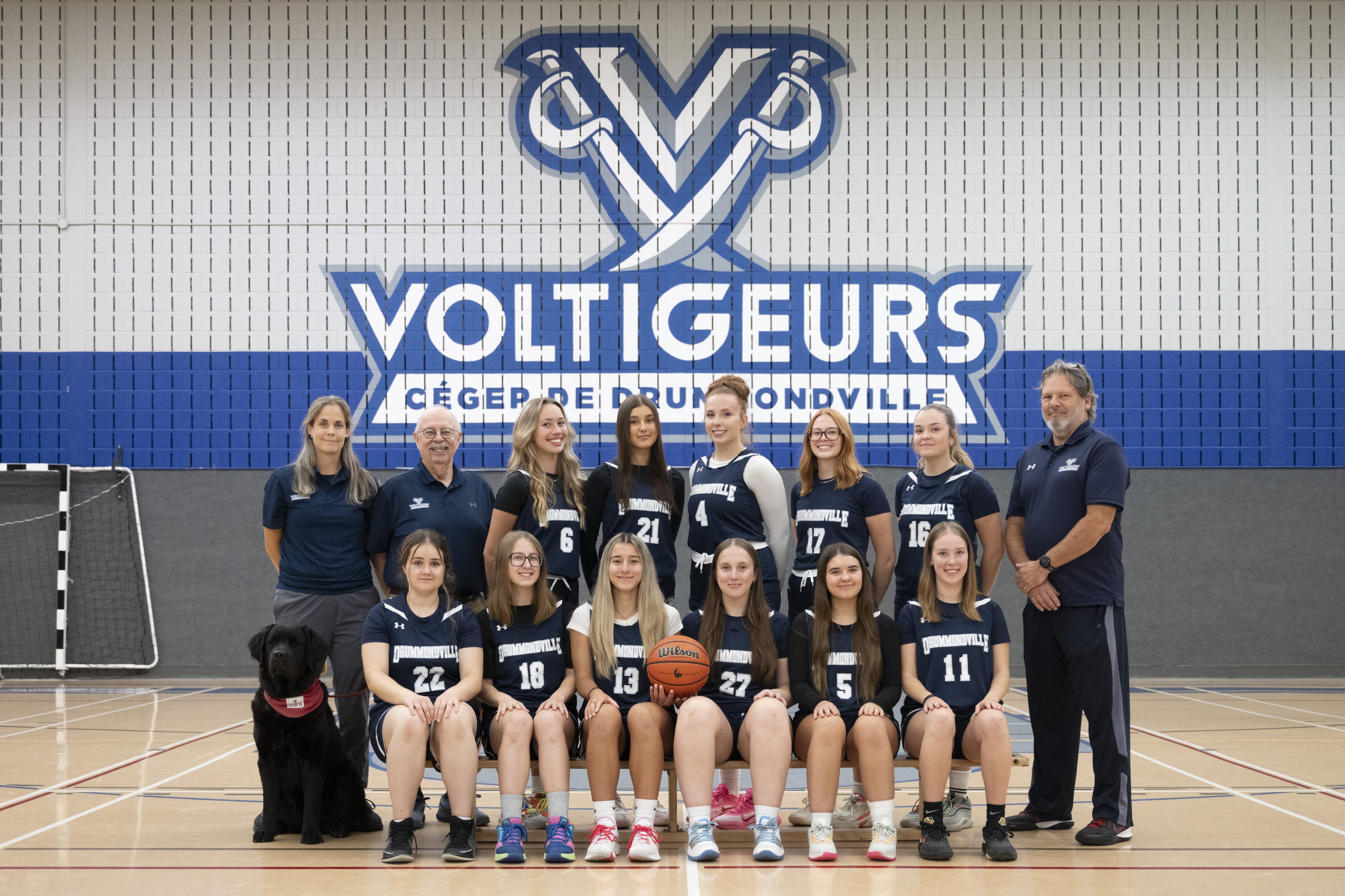 Basketball féminin